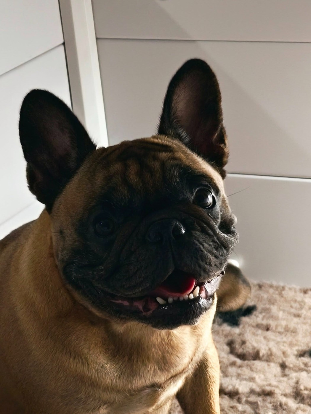 Les bébés de Romane et Tony sont nés