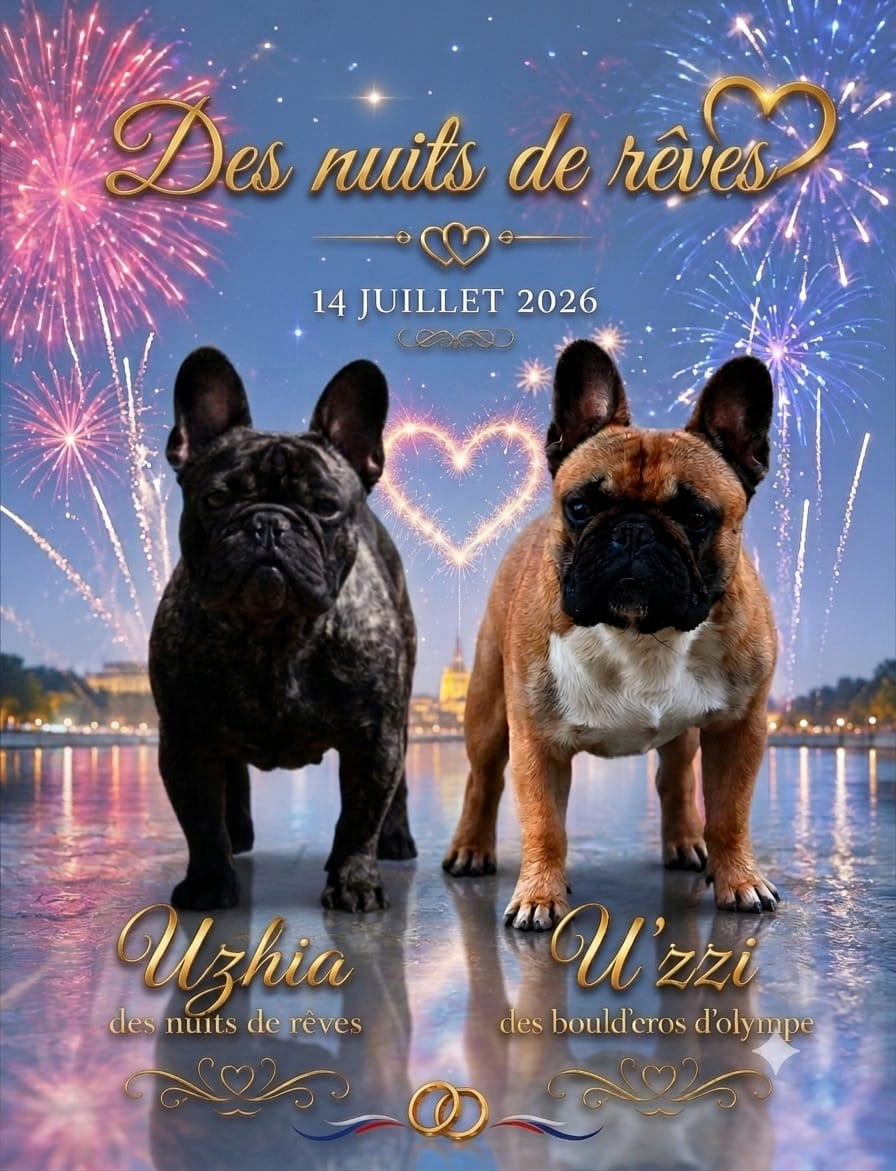 saillie Uzhia & U'zzi